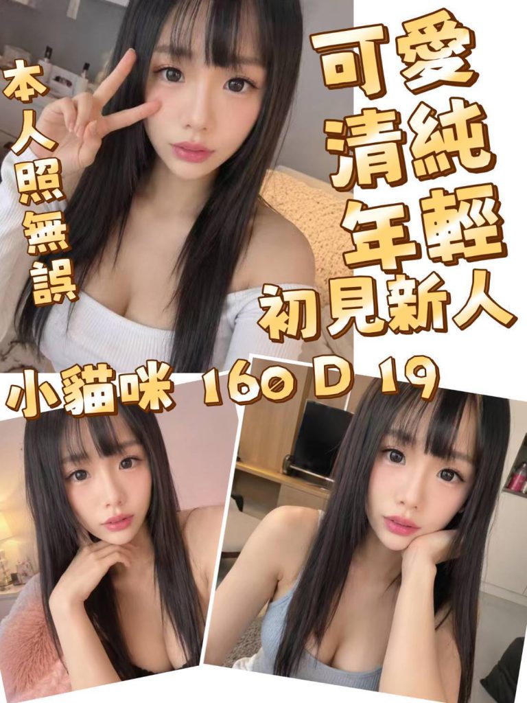 小貓咪｜台北